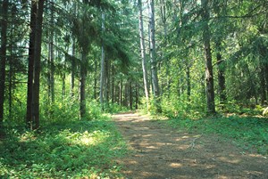 Hartleyfield2013trailohara 300X201