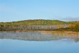 Hartleypark2012lake 277X185