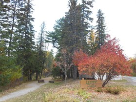 Lesterpark2012trailentrance 279X209