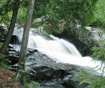 Congdonparknawaterfallni 350X294