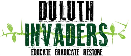 Duluth Invaders Logo 534X231 Duluth Invaders Logo 534X231
