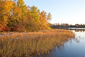 Westernwaterfronttrail2014marsh 349X233